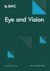 Eye and Vision雜志封面